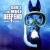 Gov't Mule : Deep End Vol 1 & 2