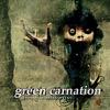 Green Carnation : Quiet offspring