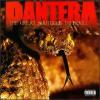 Pantera : Great Southern Trendkill