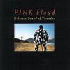 Pink Floyd : Delicate sound of thunder