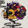 Gnarls Barkley : St. elsewhere