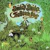 Beach Boys : Smiley smile/wild honey