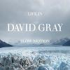 Gray, David : Life in slow motion