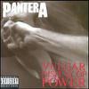 Pantera : Vulgar Display of Power