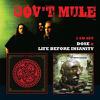 Gov't Mule : Life Before Insanity/Dose
