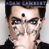 Lambert, Adam : For your entertainment