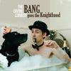 Divine Comedy : Bang goes the knighthood