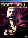 Soft Cell : Tainted live (live in milan)