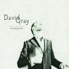 Gray, David : Foundling