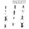 Barrett, Syd : Barrett
