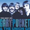 Puckett, Gary & Union Gap : Best of gary puckett & the union gap