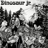 Dinosaur Jr : Dinosaur Jr