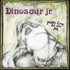 Dinosaur Jr : You're Living All Over Me