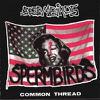 Spermbirds : Common thread