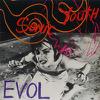 Sonic Youth : Evol
