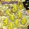 Dinosaur Jr : I Bet On Sky