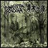 Ydinaseeton Pohjola / Aokigahara : Split