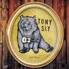 Sly, Tony : Sad Bear