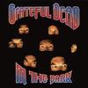 Grateful Dead : In the Dark