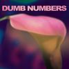 Dumb Numbers : Dumb numbers