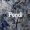 Pond : The pond
