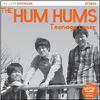 Hum Hums : Teenage loser