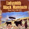 Ladysmith Black Mambazo : Songs from a zulu farm