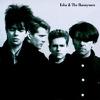 Echo & The Bunnymen : Echo & The Bunnymen