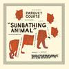 Parquet Courts : Sunbathing animal