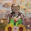 Frisell, Bill : Guitar In The Space Age