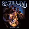 Grateful Dead : Built To Last
