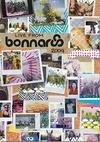 Bonnaroo : Live from bonnaroo 2009