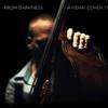 Cohen, Avishai : From Darkness