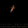 Cruise, Julee : Floating Into the Night