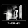 Bauhaus : In the Flat Field