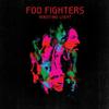 Foo Fighters : Wasting light