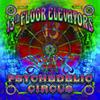 13th Floor Elevators : Psychedelic Circus