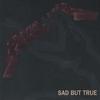 Metallica : Sad But True