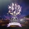Aerosmith : Rocks Donington 2014
