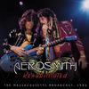 Aerosmith : Rehabilitated