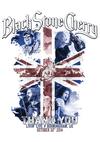 Black Stone Cherry : Thank You: Livin' Live - Birmingham