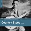 V/A : The rough guide to unsung heroes of country blues vol. 2