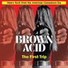 V/A : Brown Acid - The First Trip