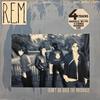 REM : (Don't Go Back To) Rockville