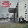 Miettiin : Monta Suoraa Seinää
