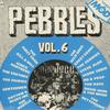 V/A : Pebbles Vol. 6 - The Roots of Mod