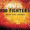 Foo Fighters : Skin and Bones