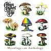 Allman Brothers Band : Mycology - an anthology