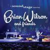 Wilson, Brian : Brian Wilson and Friends