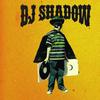 Dj Shadow : Outsider